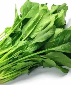 Cải bó xôi RH (túi)