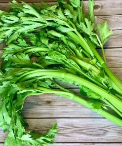 Cần tây Đà Lạt KHC