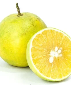 Cam xoàn