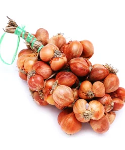 Hành khô Kinh Môn