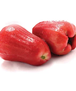 Mận An Phước xuất khẩu