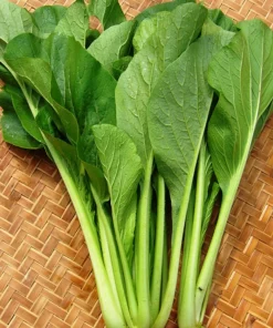 Cải xanh RH (túi)