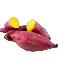 Khoai lang giống Nhật Đà Lạt