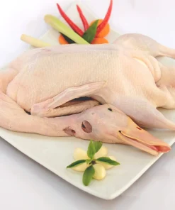 Vịt cỏ Hòa Bình