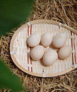 trứng gà sâm mối 4