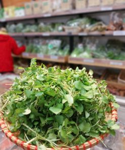 Rau củ Bắc Hà 3