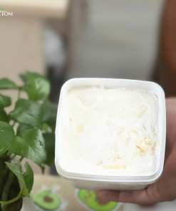 Kem dừa non đặc biệt 2