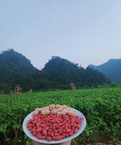 lạc đỏ bản địa bóc vỏ
