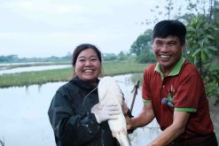 ca dam lua thanh lang 2