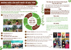 tầm nhìn bác tôm 1