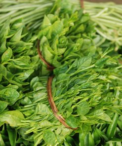 rau củ quả liên sơn 3