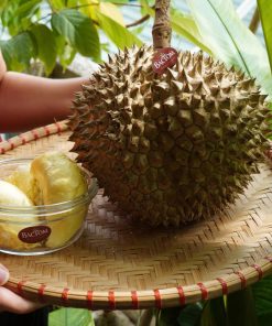 sầu riêng chín hóa 3