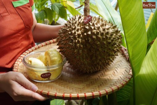sầu riêng chín hóa 3