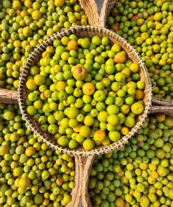 kombucha quả dại 4