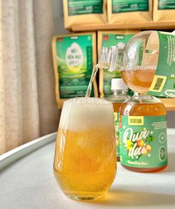 kombucha quả dại 3