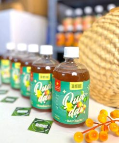 kombucha quả dại 1