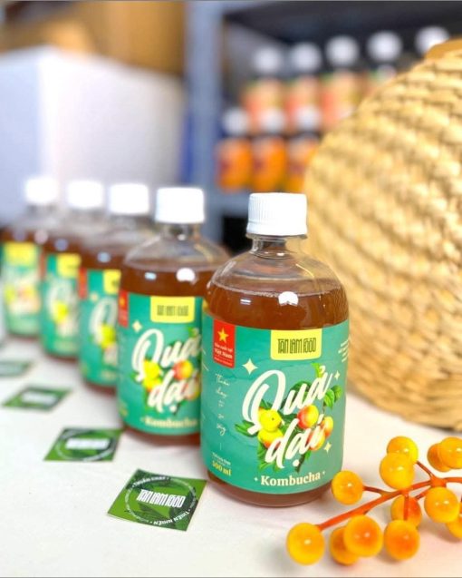 kombucha quả dại 1