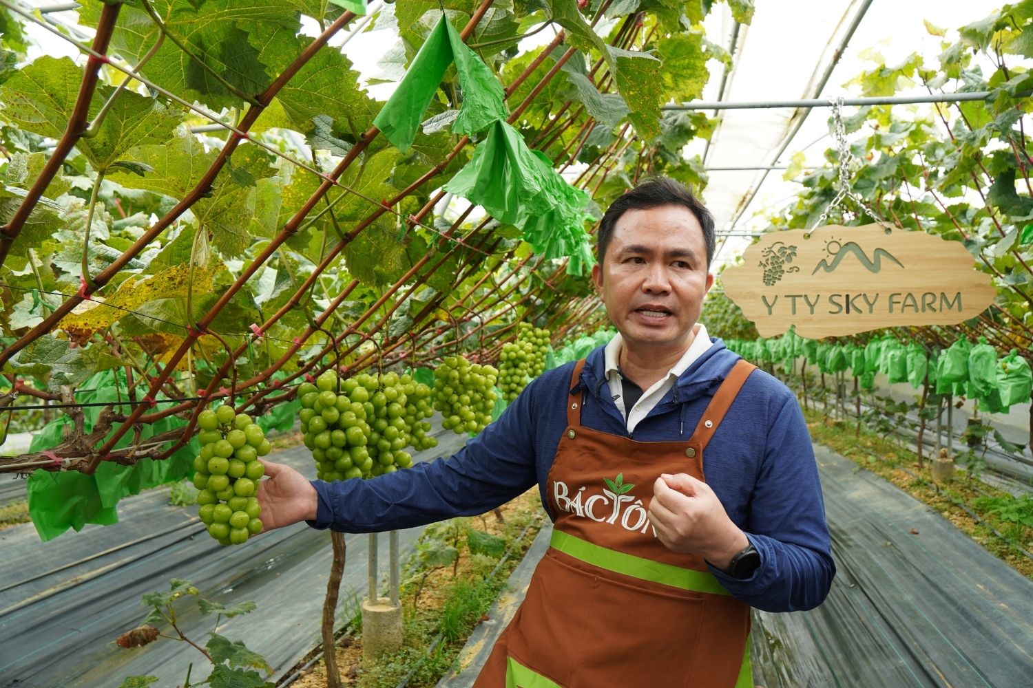 Anh Trần Văn Trấn - CEO Y Tý Skyfarm