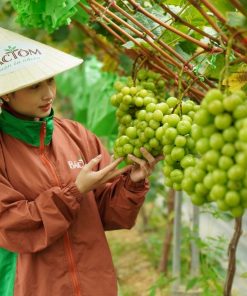 Bác Tôm đồng hành cùng Skyfarm