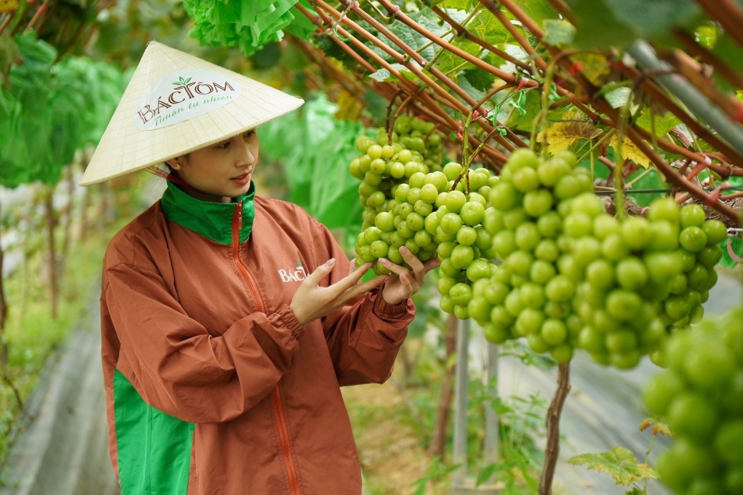 Bác Tôm đồng hành cùng Skyfarm