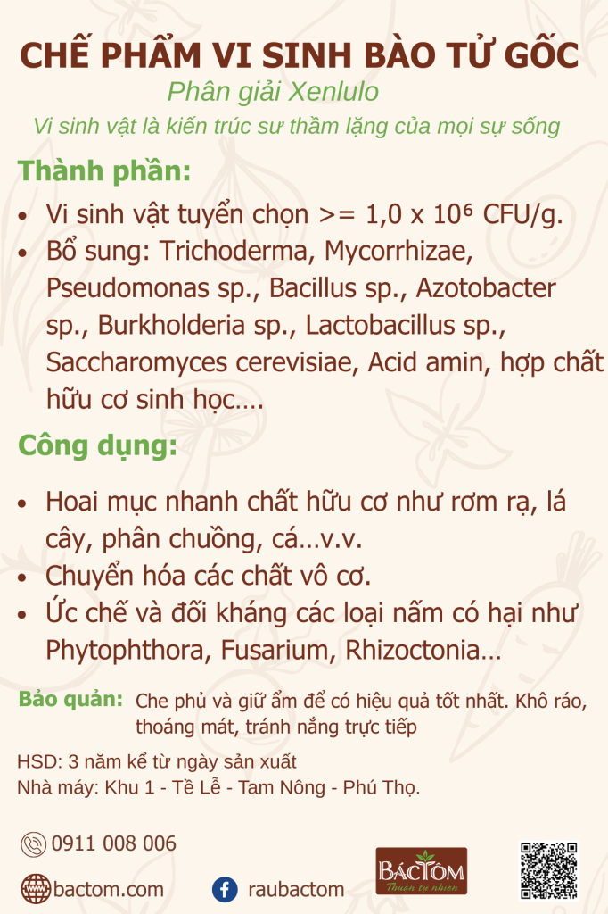 Chế phẩm vi sinh bào tử gốc