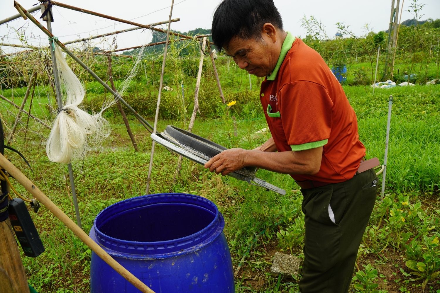 Kỹ sư Dương Khôi kiểm tra phân cá hữu cơ tại farm