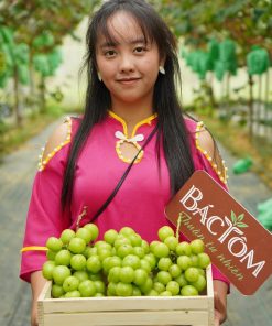 Nho Y Tý - Em Xa người Hà Nhì