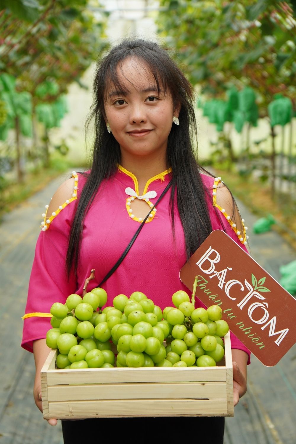 Nho Y Tý - Em Xa người Hà Nhì