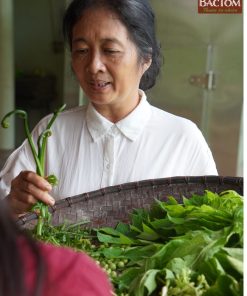 Rau rừng 6