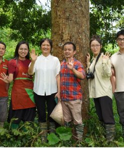 Rau rừng Ba Vì