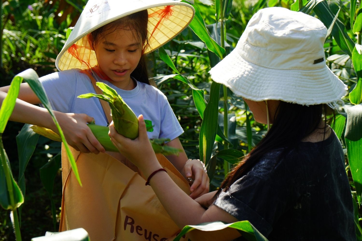 Trẻ em tham gia farmtour Đồng Sương do Bác Tôm tổ chức 1.6.25