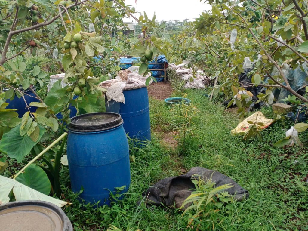 thùng ủ phân hữu cơ vi sinh