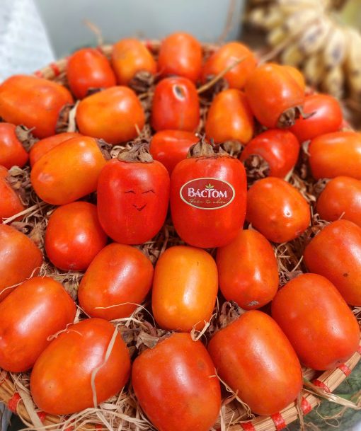 Hồng trứng Nghệ An 5