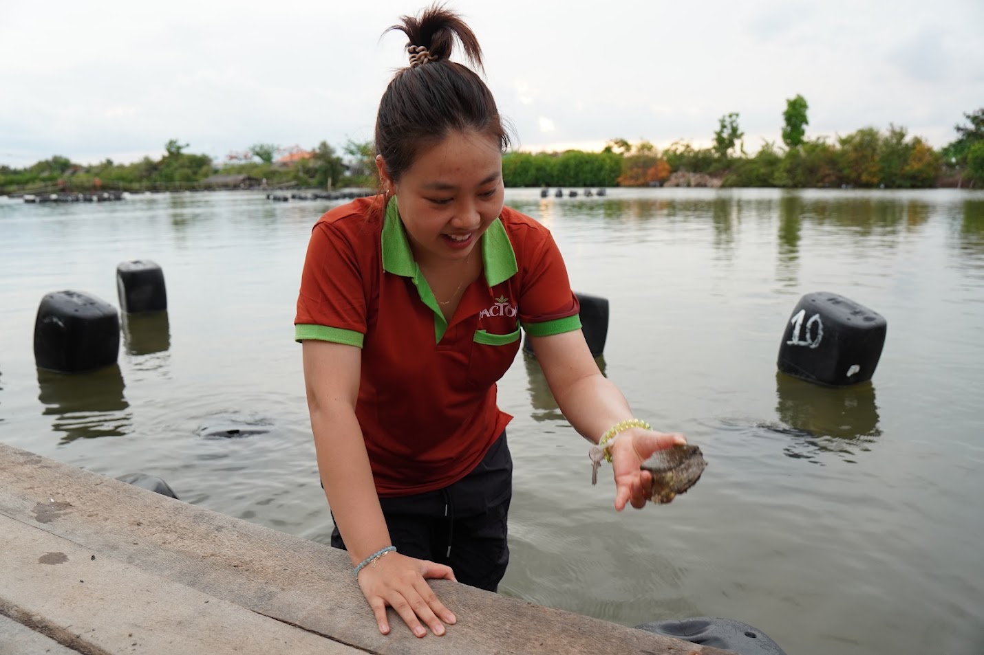 hải sản người giữ rừng 4