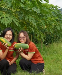 Farm Sinh thái Đại Lan