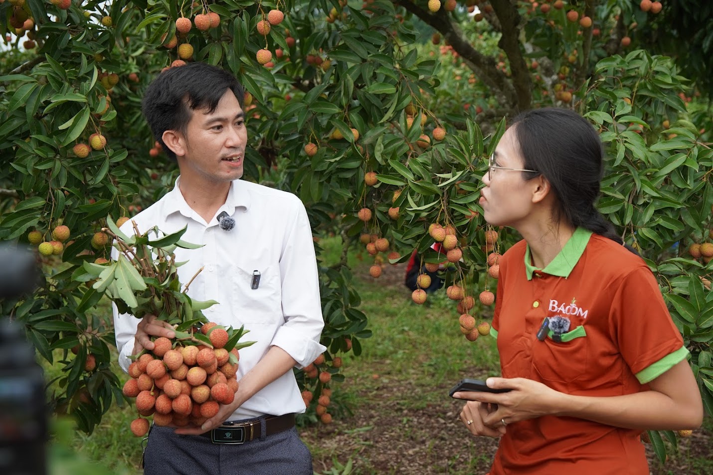 Anh Nết giám đốc HTX Phì Điền
