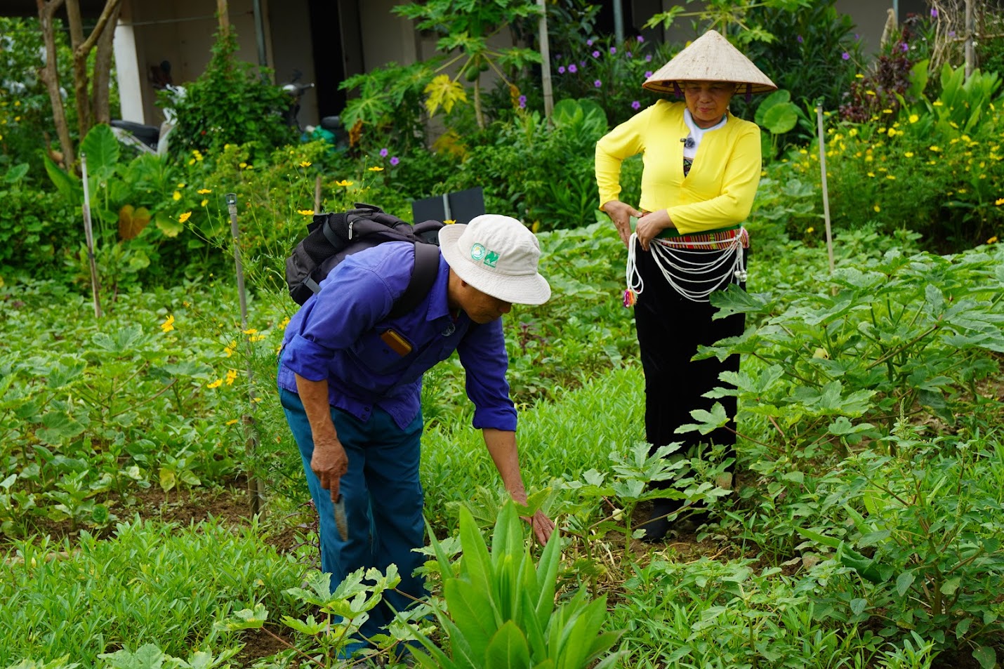 Kỹ sư Dương Khôi và cô Đường