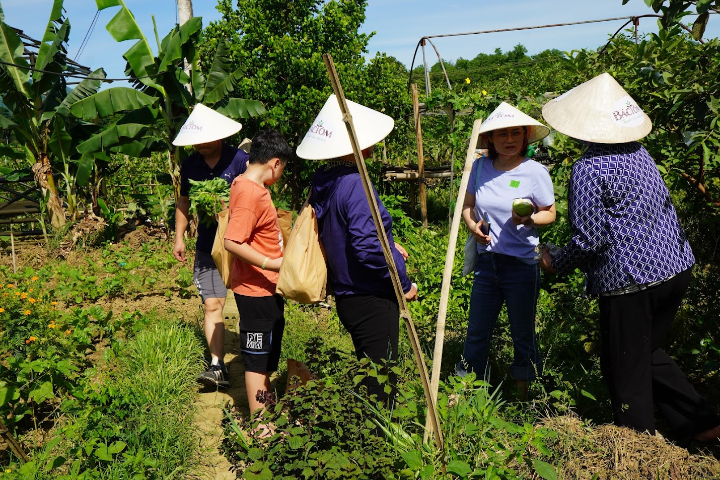 farmtour đồng sương 2
