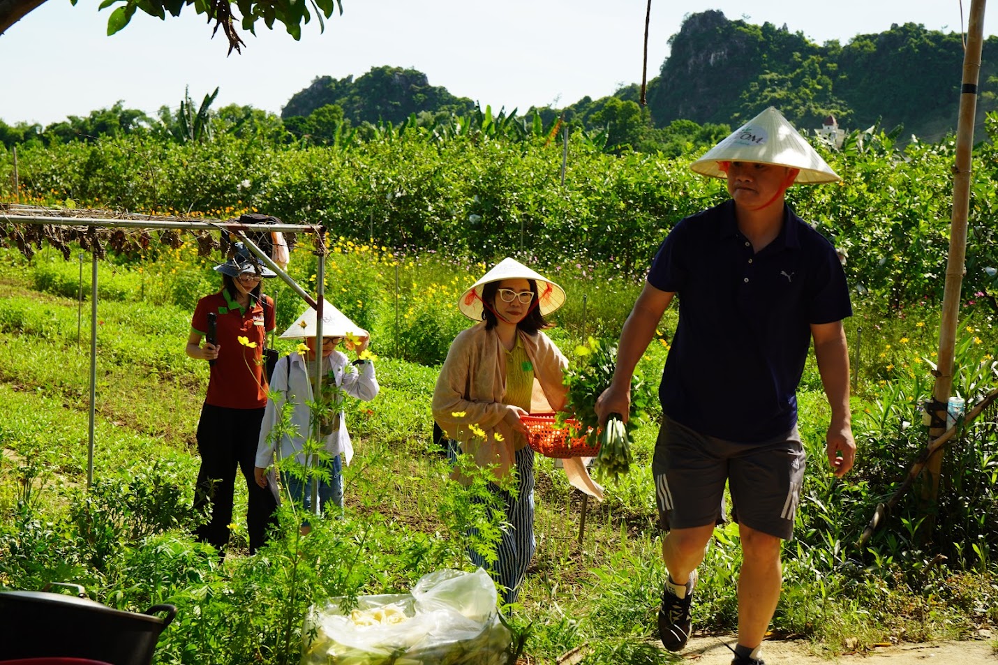 farmtour đồng sương