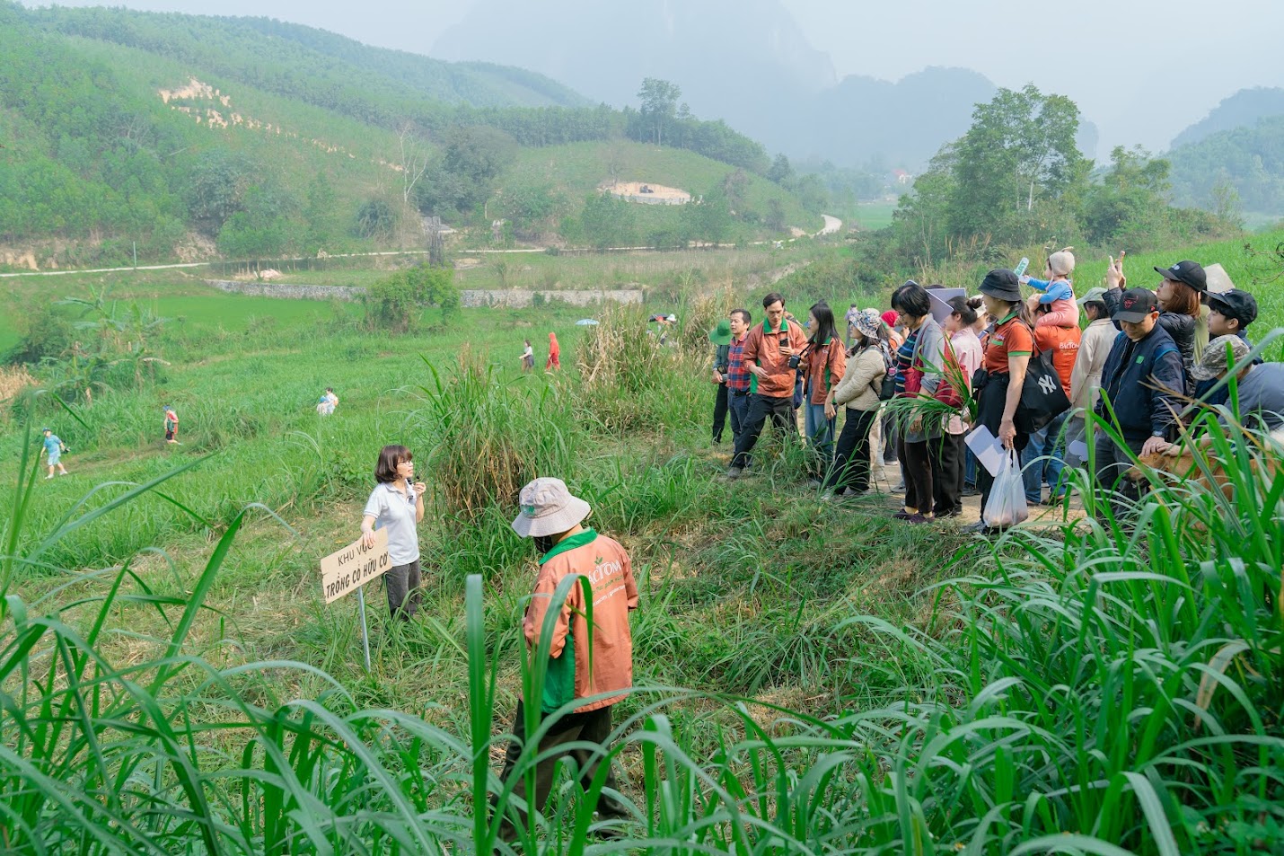 Sữa Mục Đồng đạt tiêu chuẩn hữu cơ JAS