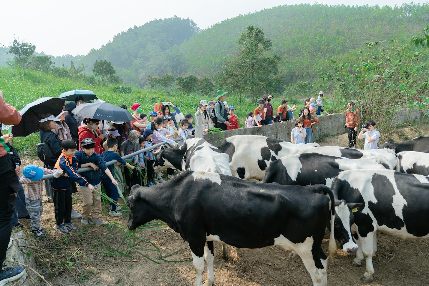 Farmtour Mục Đồng