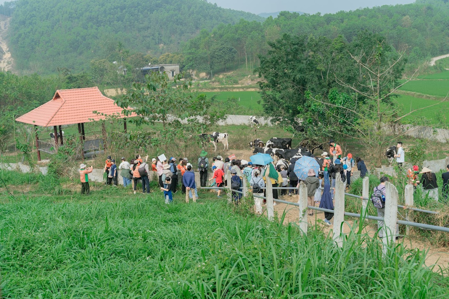 Farmtour Mục Đồng 2