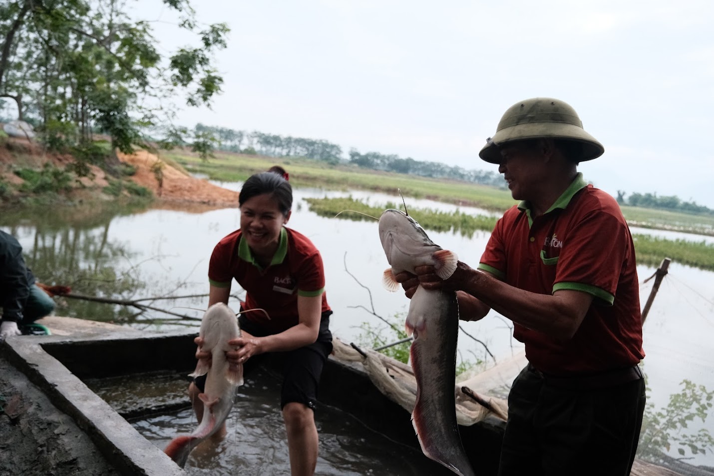 Cá đầm lúa Thanh Lãng 3