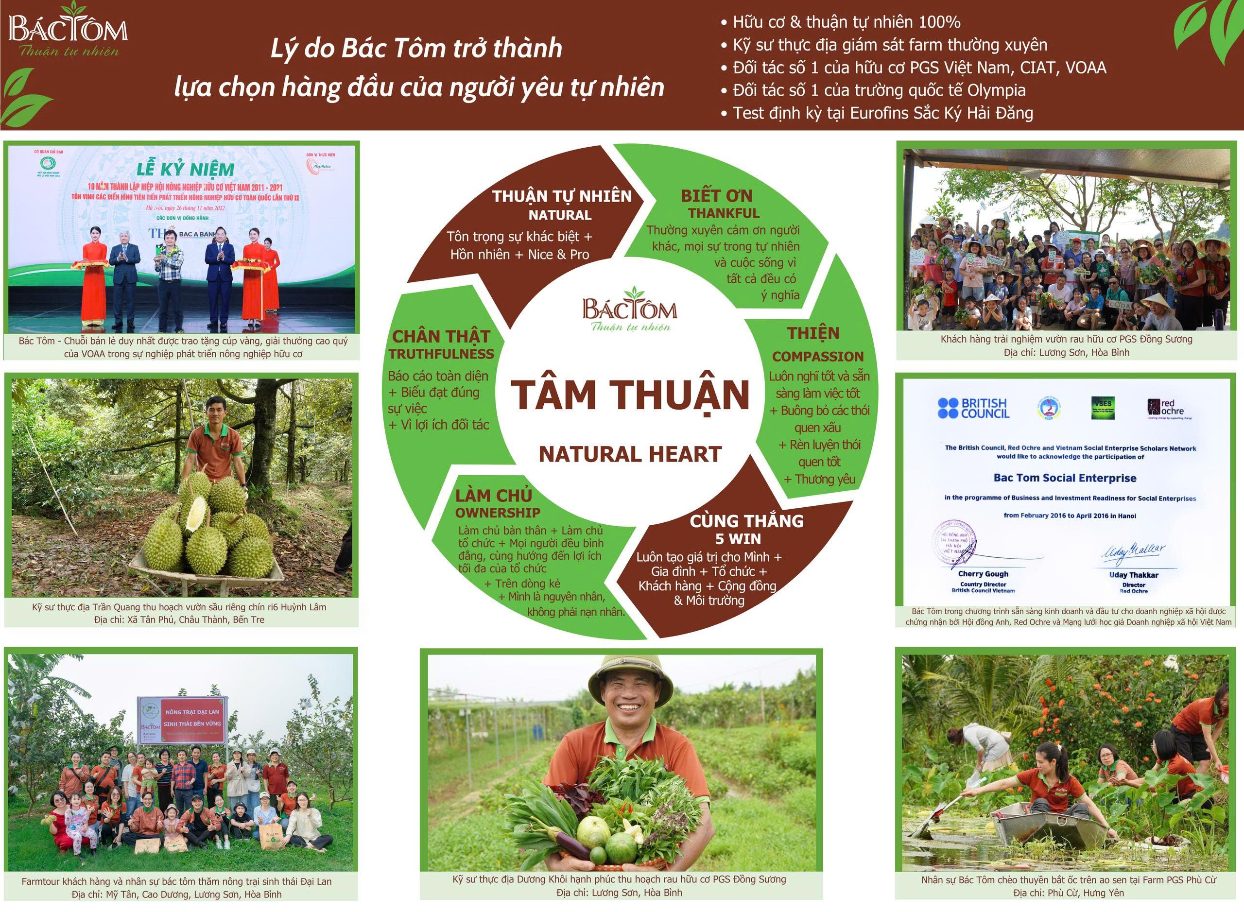 giá trị văn hóa bác tôm 2