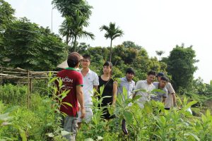 khách tham qua vườn rau ở Lương Sơn