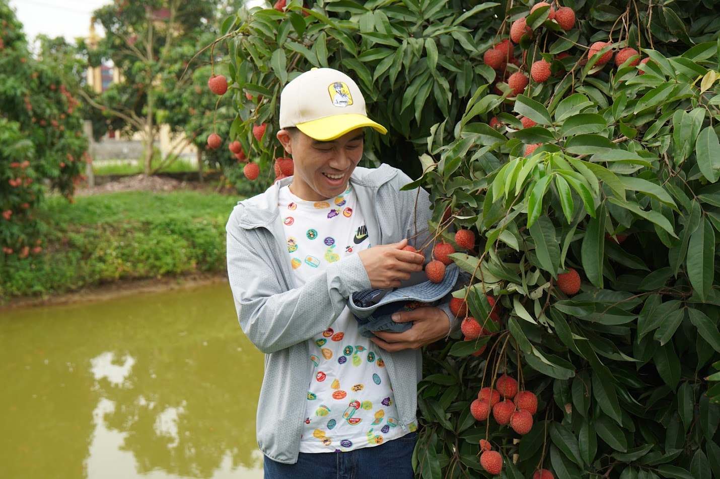 Vải trừng Phù Cừ 5