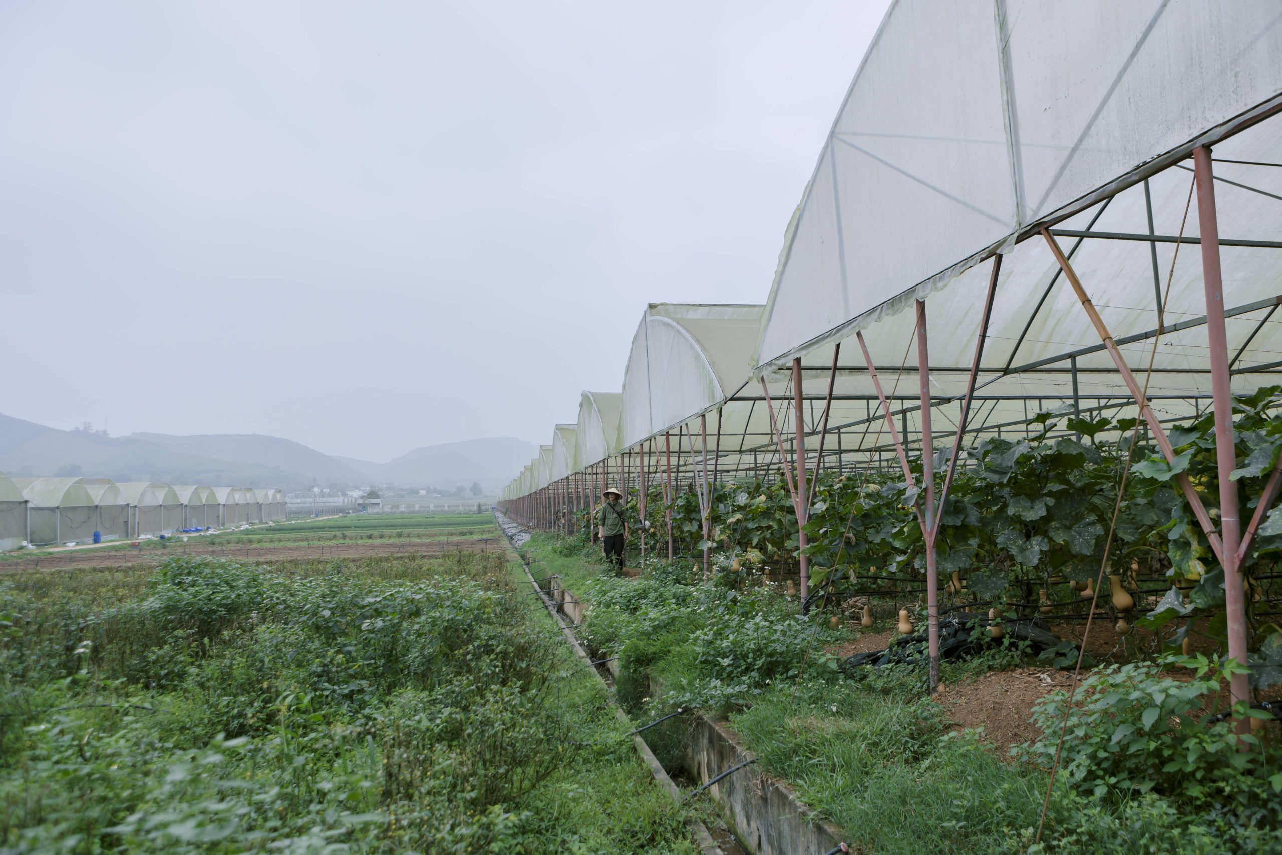 Nông trại hữu cơ khép kín Sunmart