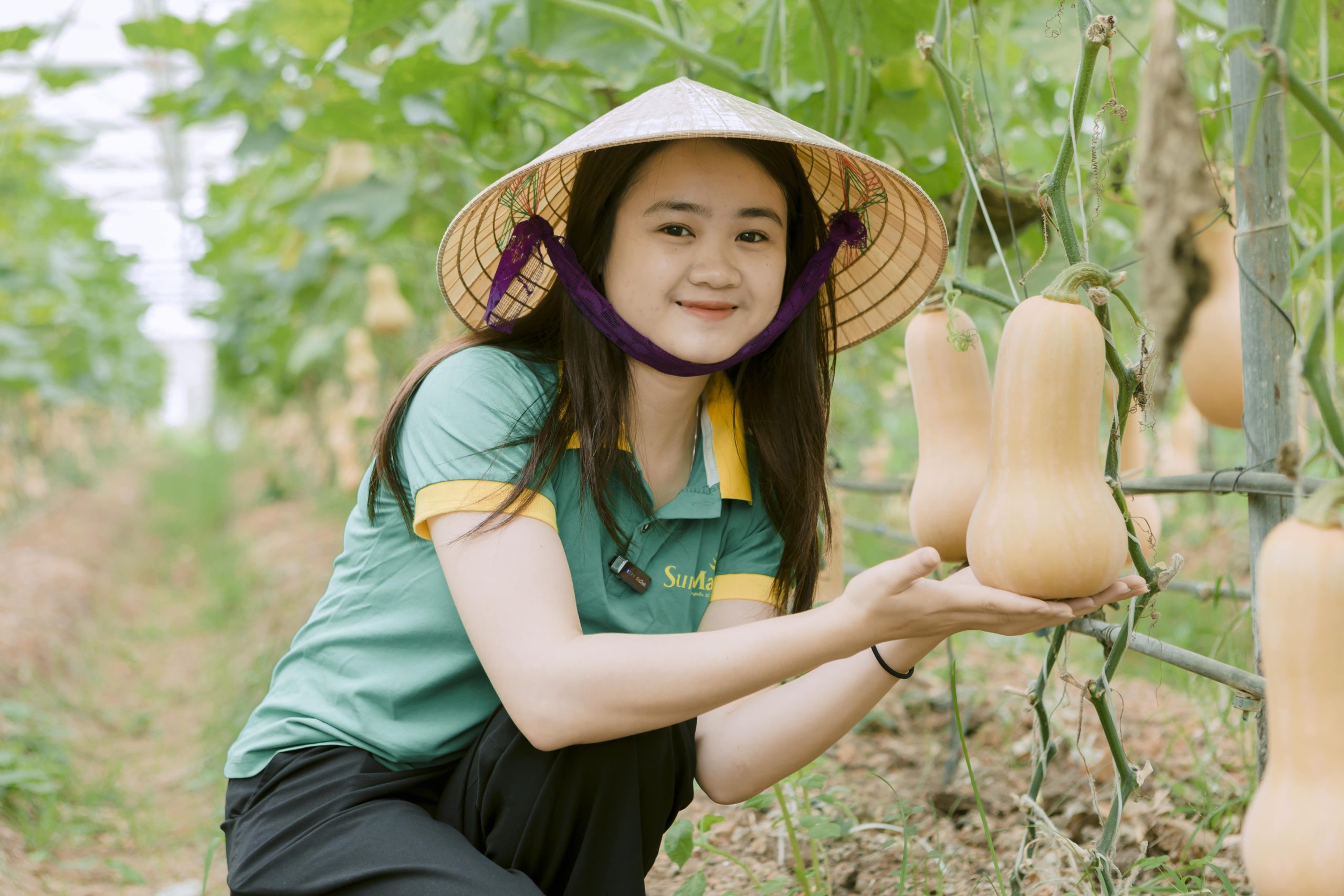 Bí hạt đậu đạt chuẩn hữu cơ