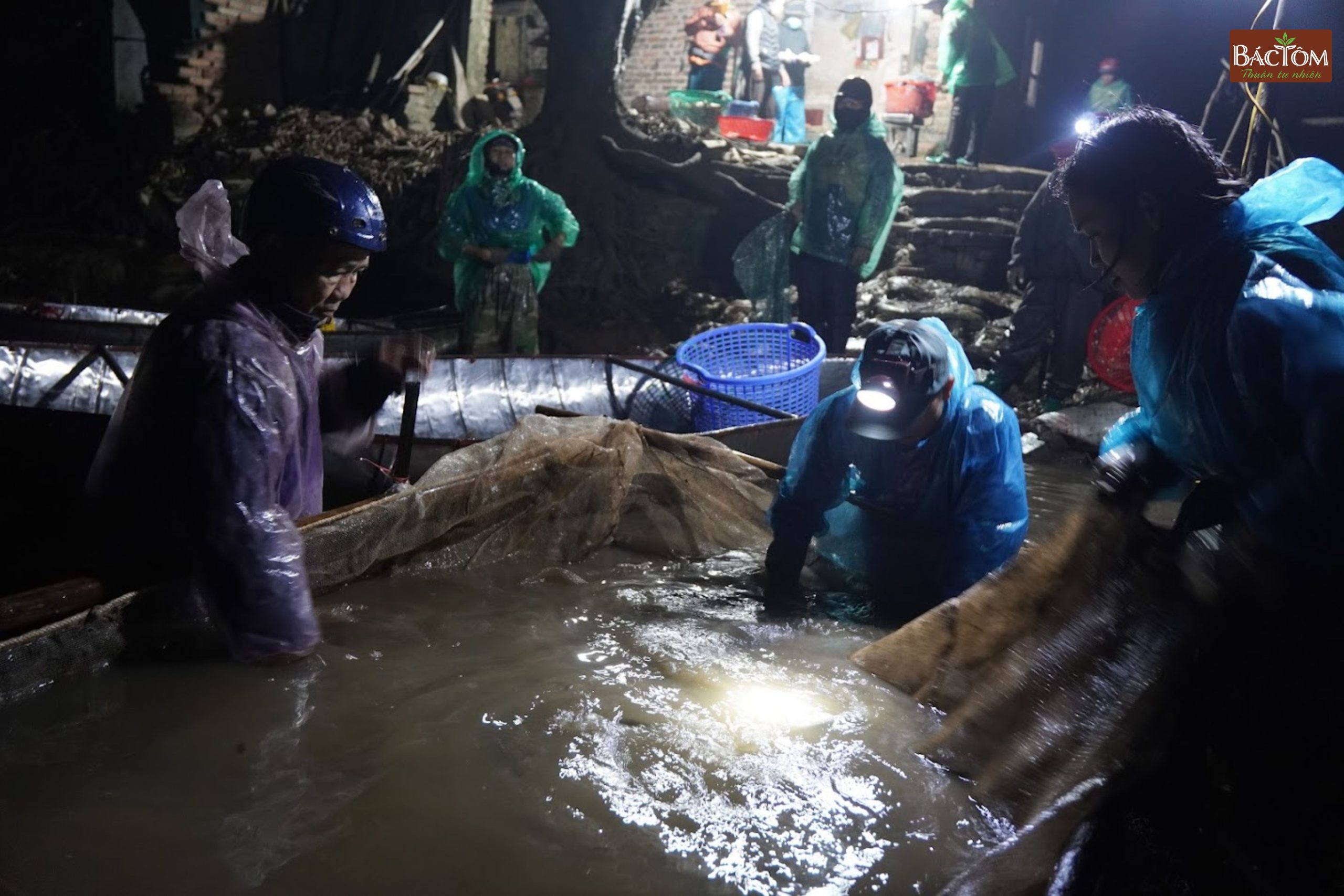 kéo cá tại đầm Thanh Lãng 3