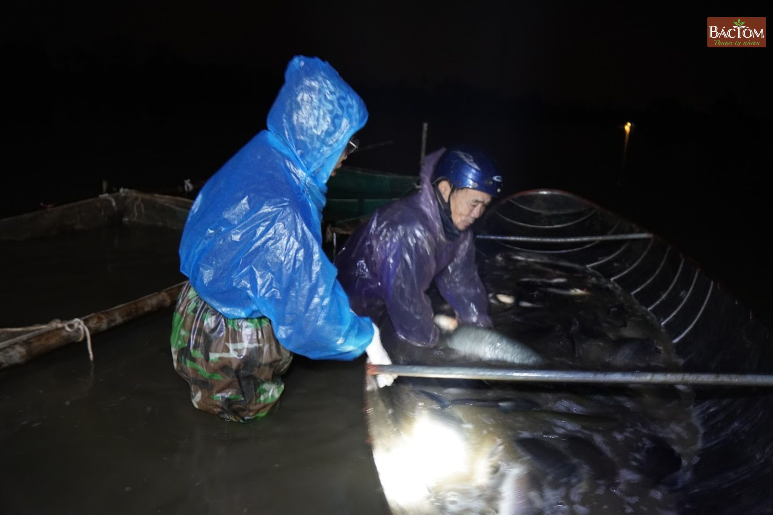 kéo cá tại đầm Thanh Lãng 1